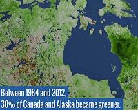 NASA studies details of a greening Arctic