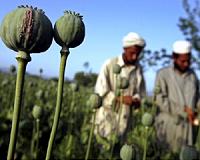 Afghan poverty rises sharply since NATO combat troops' departure
