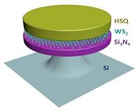 Exciting breakthrough in 2-D lasers