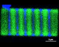 New class of 'soft' semiconductors could transform HD displays