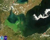Lake Erie algae bloom getting worse