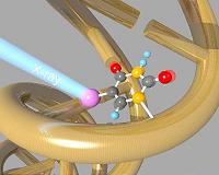 Single-shot imaging of bio-systems