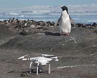 Scientists use satellites and drones to discover antarctic penguin 'super-colonies'