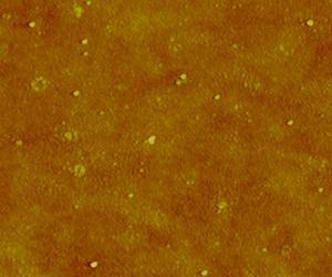 Are silver nanoparticles harmful?