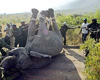 Kenya Launches New Project To Conserve Famed Tsavo Wildlife Parks