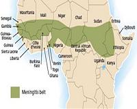 Meningitis epidemic kills 75 in Niger