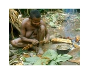 Congolese pygmy seeks to enlighten his kin