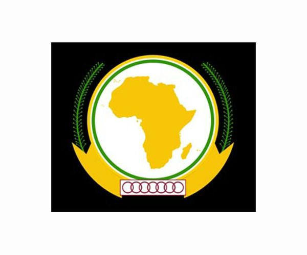 African Union suspends Niger over coup as 12 troops die in new attack