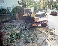 Germany reels from deadly storm; Severe train disruptions