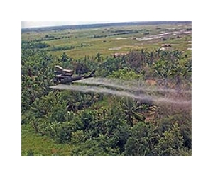 S.Korea court orders US firms to pay up over Agent Orange