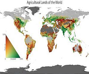 Feeding the world while protecting the planet