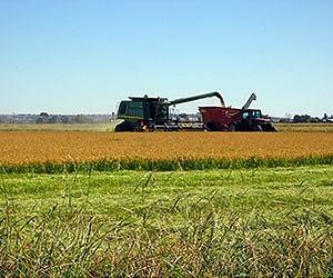 Farming is key to meeting environmental challenge: FAO chief