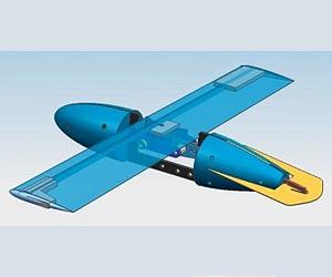 Should Airplanes Look Like Birds