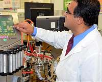 Potato waste processing may be the road to enhanced food waste conversion