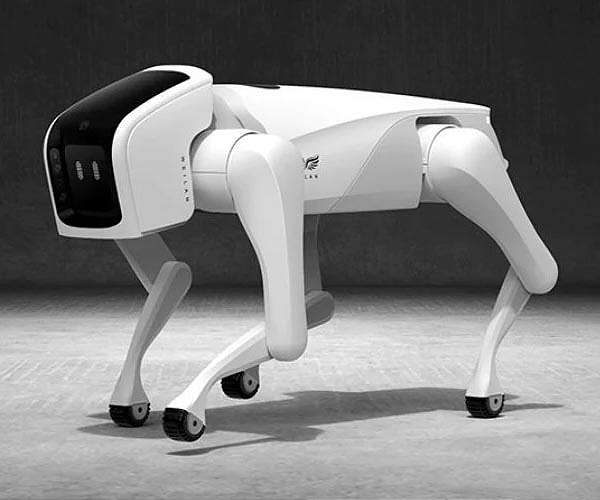 The ulti-mutt pet? Chinese tech company develops robo-dogs