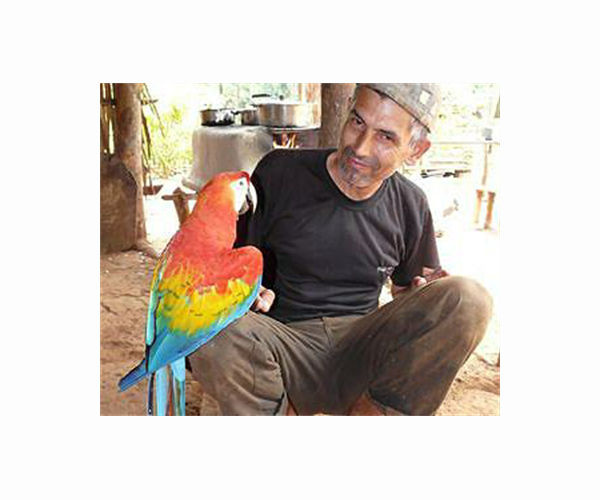 Brazil faces dilemma: endangered macaw vs. wind farm