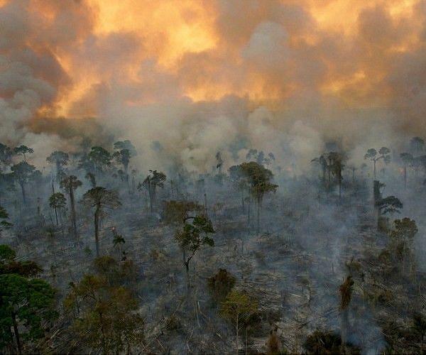 Brazil sees area burned by fire nearly double in November