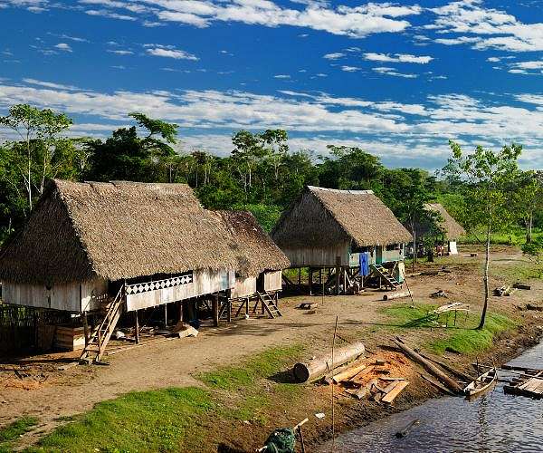 'It destroys everything': Amazon community fights carbon credit project