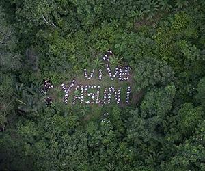 Ecuador's Yasuni dilemma: a reserve full of life, and oil