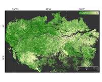 The art of living and thriving in the Amazon river basin
