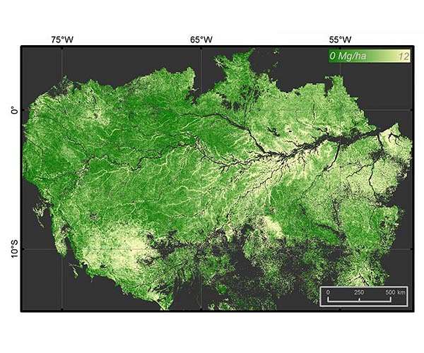 Worst-ever February rainforest data for Brazilian Amazon