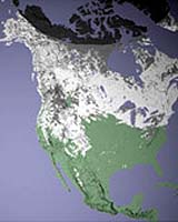 Seasonal Forecast Calls For Mild Winter In West And Cold In Northeast