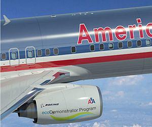 Flight attendants decry new Homeland Security policy