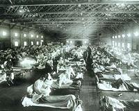 Key genes for Spanish flu pandemic exist in nature: report