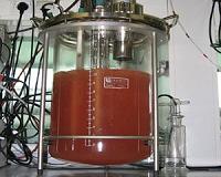 U.S. patent granted for novel wastewater treatment system