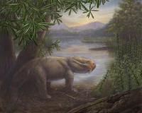 Stability of surviving communities increases following mass extinction