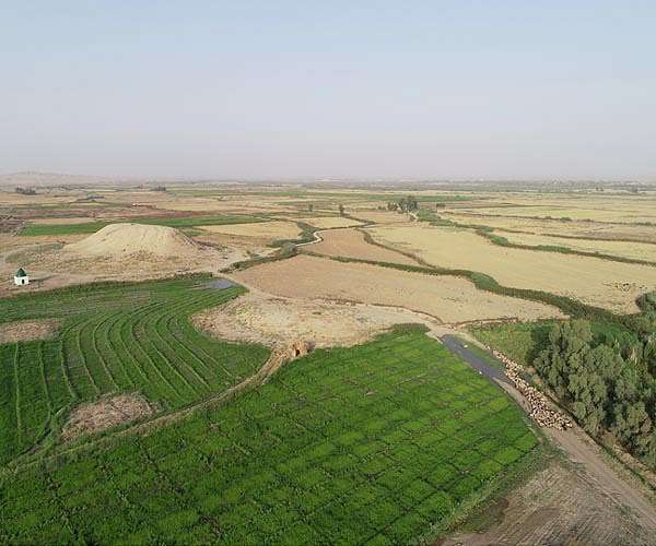 Ancient agricultural strategies unveiled as pre-industrial societies adapted to climate shifts