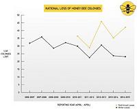 US beekeepers lost 40 percent of bees in 2014-15