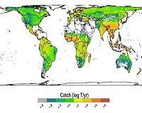 Report reveals a big dependence on freshwater fish for global food security