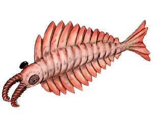 Earth's First Great Predator Wasn't