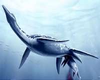 Giant marine reptile lived in Antarctic 150 million years ago: scientists