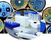 Bioinspired agent kills drug-resistant bacteria