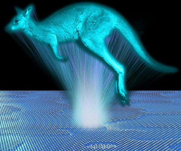 Australia told to shoot kangaroos before they starve