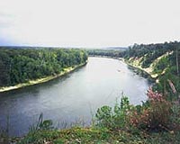 Low Apalachicola River Flow May Hurt Gulf Fisheries