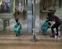 Apes know a good thriller when they see one
