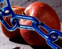 USDA approves new biotech apple for growth in U.S.