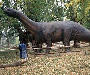 The first dinosaur discovered in Spain is younger than originally thought