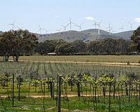 No surprises for wind industry in NHMRC report
