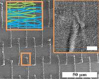 Wonder material? Novel nanotube structure strengthens thin films for flexible electronics