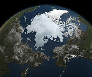 Large variations in Arctic sea ice