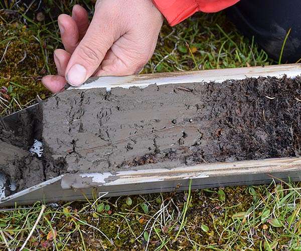 Are new carbon sinks appearing in the Arctic?