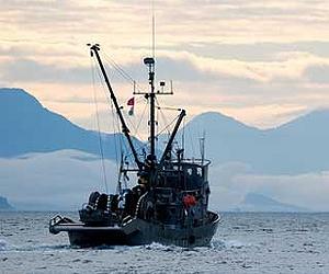 US Coast Guard sinks Japan tsunami 'ghost ship'