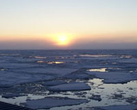 Arctic Sea Ice Declines Again In 2006