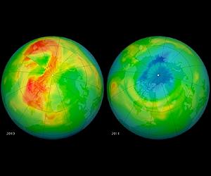 Arctic Ozone Loss