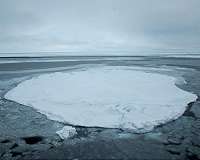 Wintertime Arctic Sea Ice Growth Slows Long-term Decline: NASA