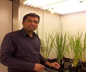 New discovery could stimulate plant growth and increase crop yields